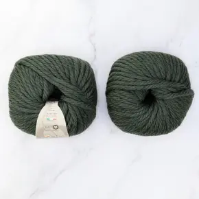 Sesia Super Echos Organic: 3063 Olive