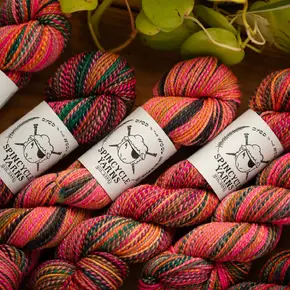 Spincycle Yarns Dyed In the Wool: Rabbit Hole PREORDER