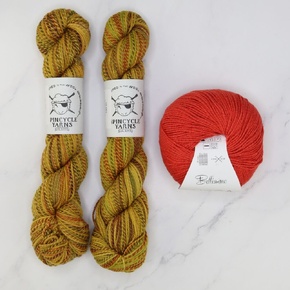 Metamorphic Set in Spincycle Dyed in the Wool & Lucca: Salty Dog Tomato, size 1