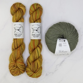 Metamorphic Set in Spincycle Dyed in the Wool & Lucca: Salty Dog Sage, size 1