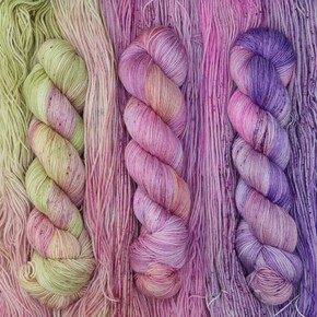 A Skein Sisters Yarns 2024 Summer Collection in Fabulous Sock